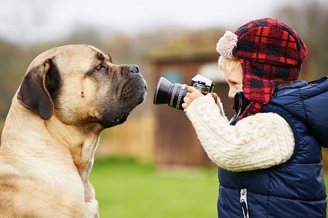 fotografía de mascotas