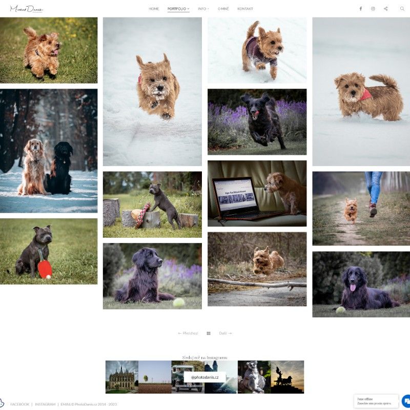 minimalist pet photography website design