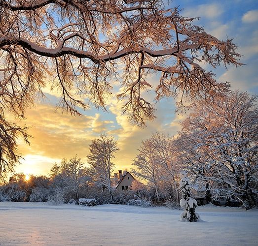 Tipps für die Winterfotografie