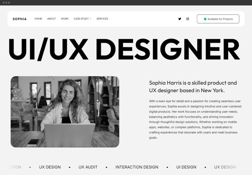 Portfolio Website Themes